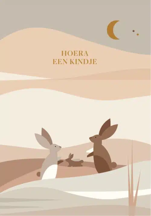 Saskia rasink kaart Hoera een kindje