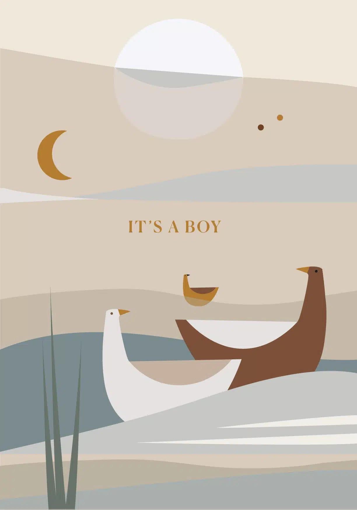 Saskia rasink kaart It's a boy