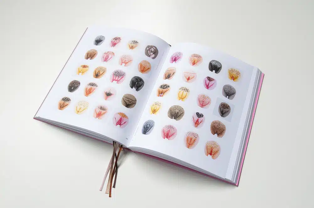 The Vulva Gallery "A celebration of Vulva diversity" boek