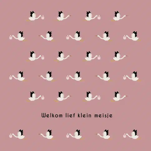 kaart Leukigheidjes Welkom lief klein meisje