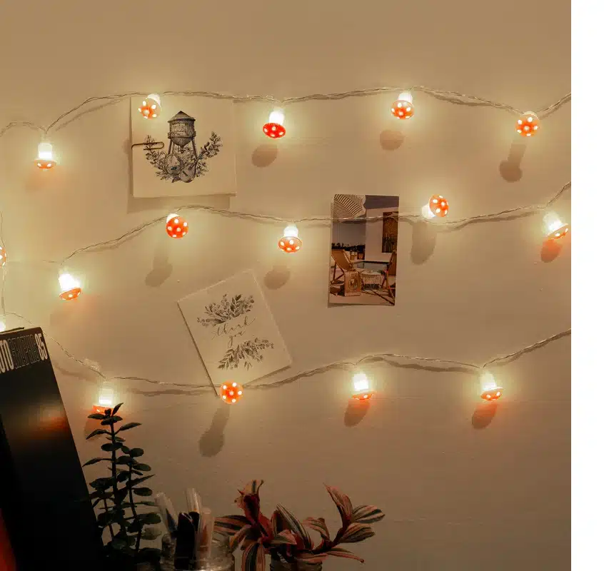 20 LED mushroom string lights
