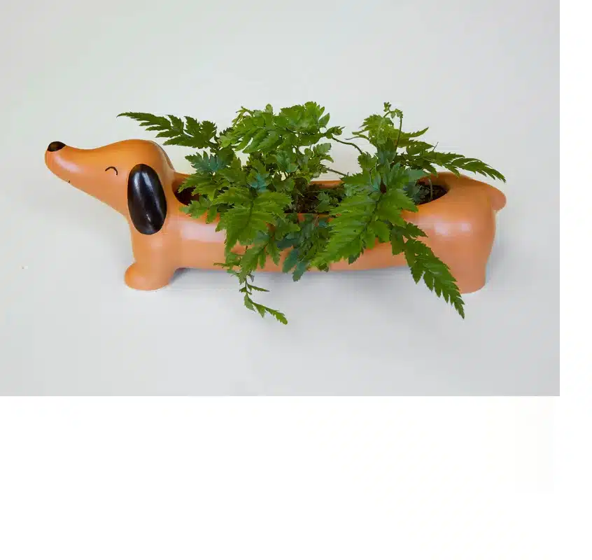 Daisy de teckel plantenpot