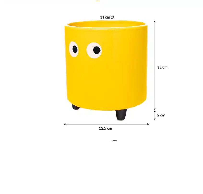Eyes plant pot yellow