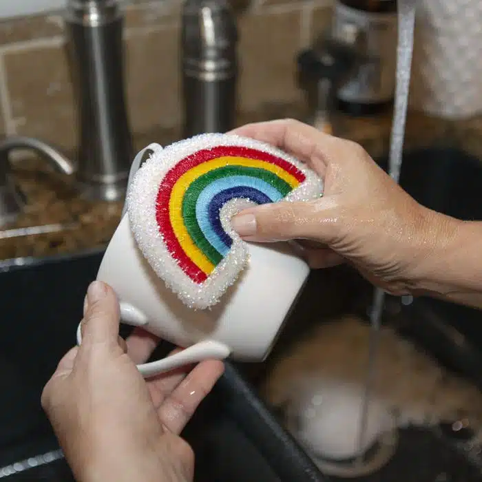 rainbow sponges