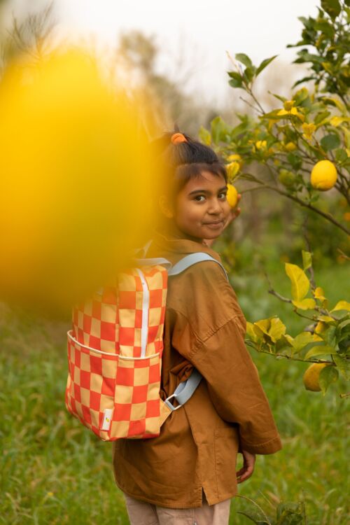 Backpack large checkerboard pear jam + ladybird red