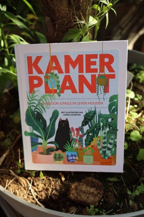 Boek Kamerplanten