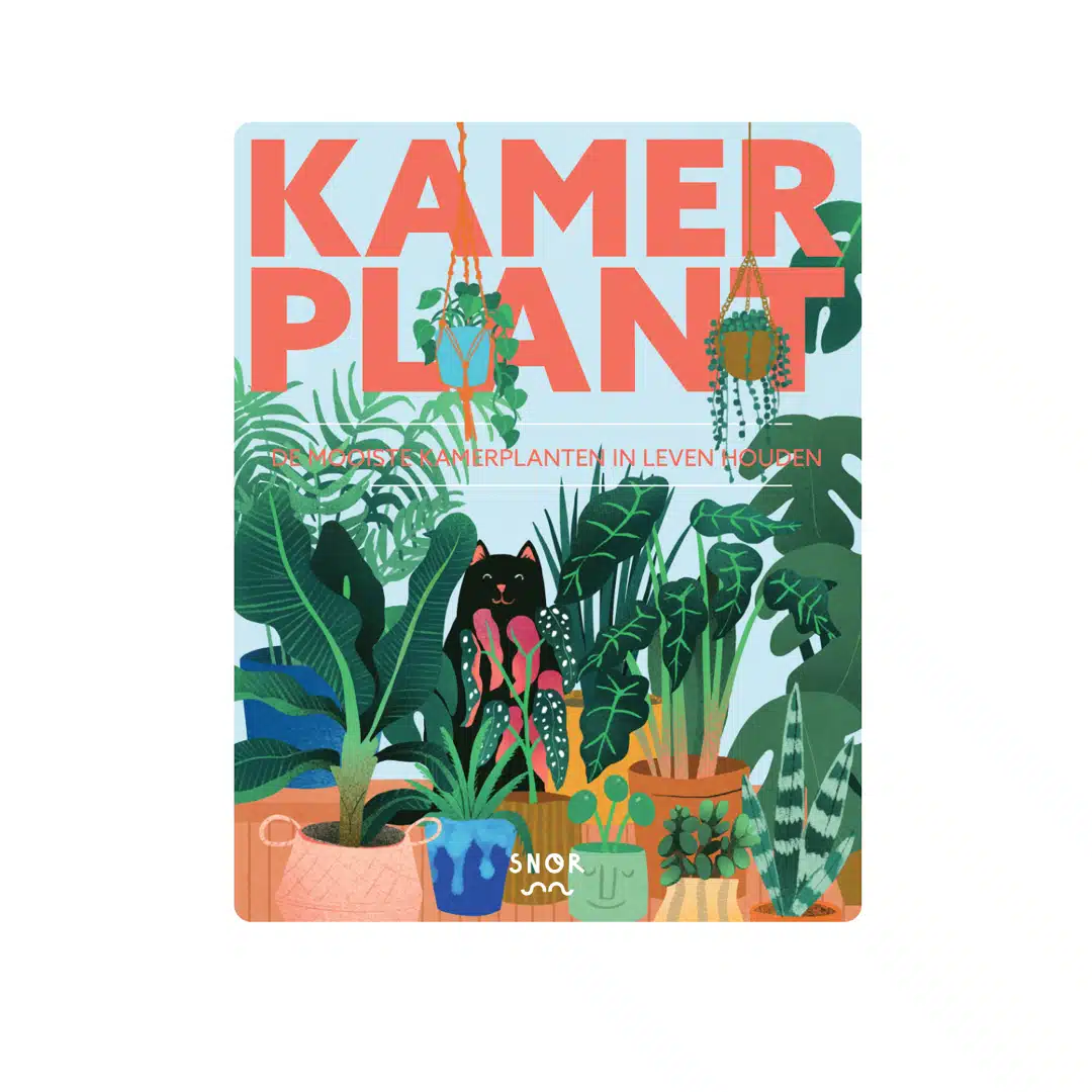 Boek Kamerplanten