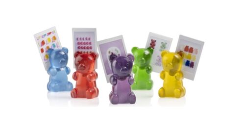 Bear photoholder blue