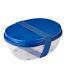 Saladbox ellipse vivid blue