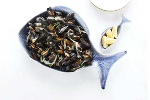 Diepe visschaal blauw