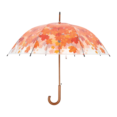 Paraplu boomkroon herst
