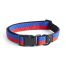 Dog collar flat m/l red-blue