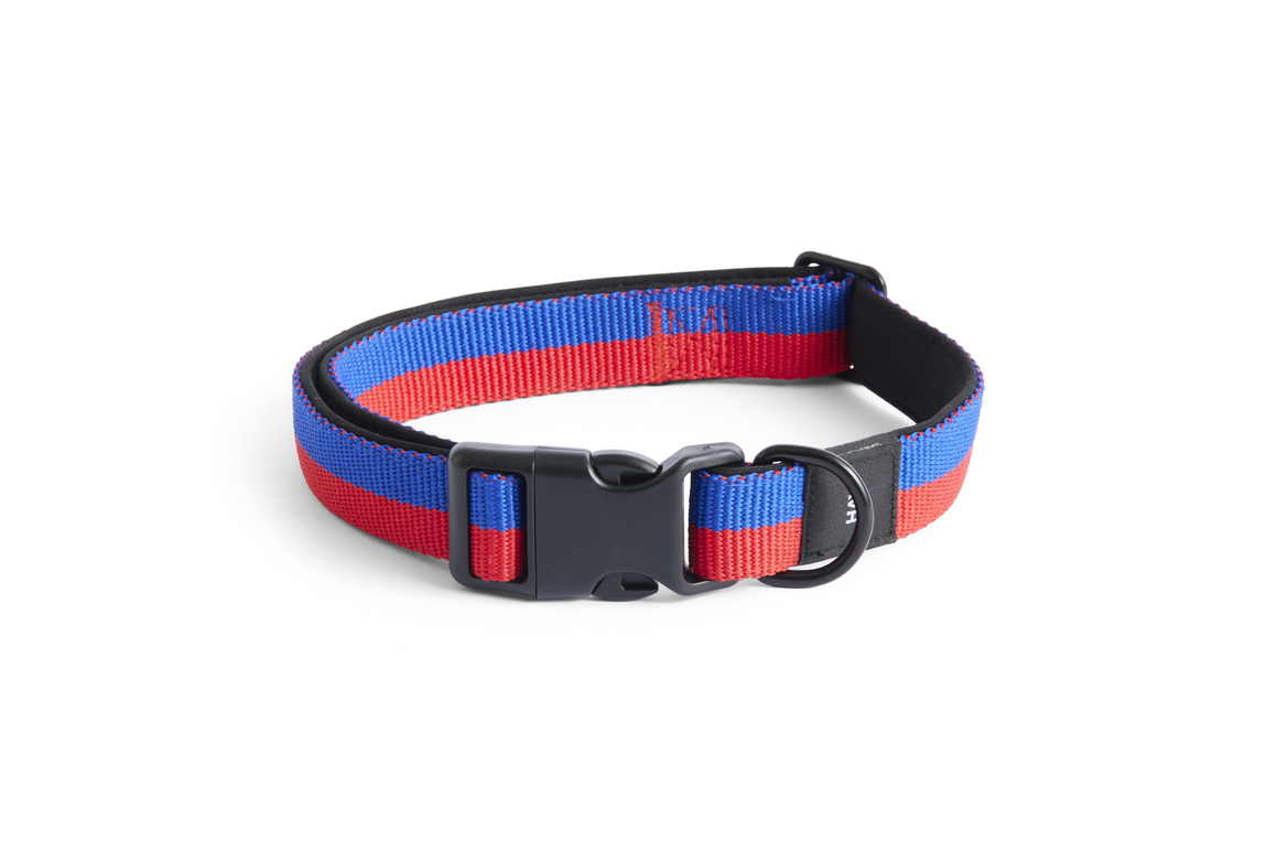 Dog collar flat m/l red-blue