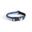 Dog collar flat s/m blue-off white