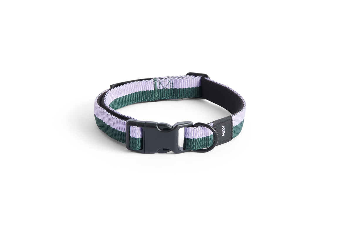 Dog collar flat s/m lavender- green