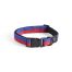 Dog collar flat s/m red-blue