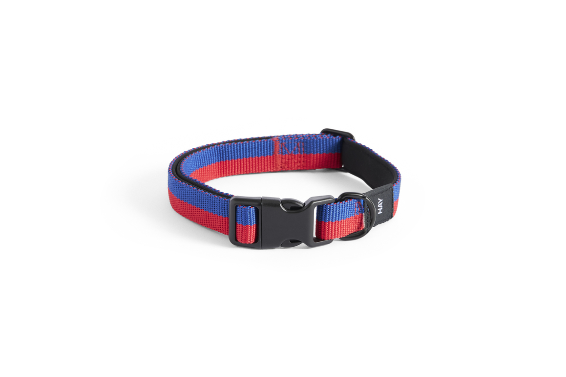Dog collar flat s/m red-blue