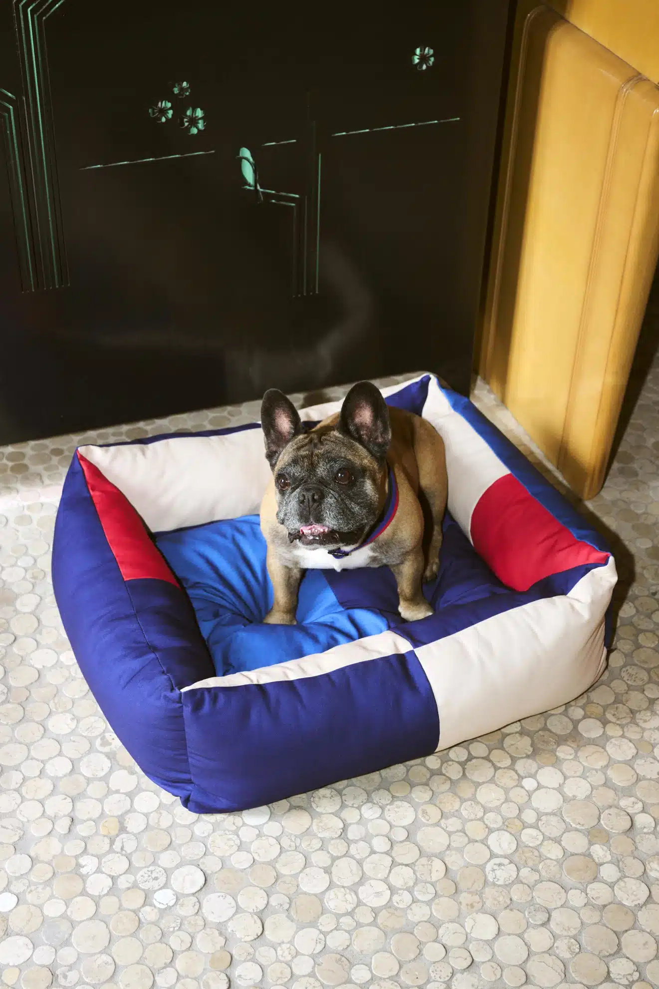 Dog bed small medium red - blue