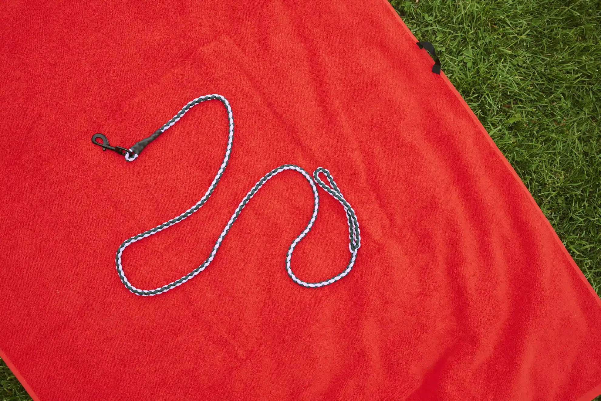 Dog leash braided lavender/green