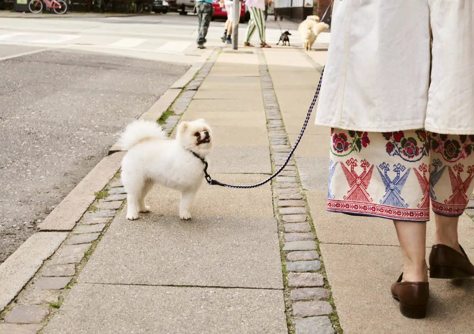 Dog leash braided lavender/green