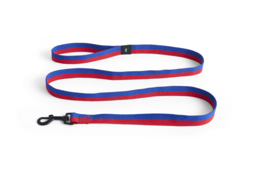 Dog leas flat M/L red-blue