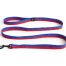 Dog leas flat M/L red-blue