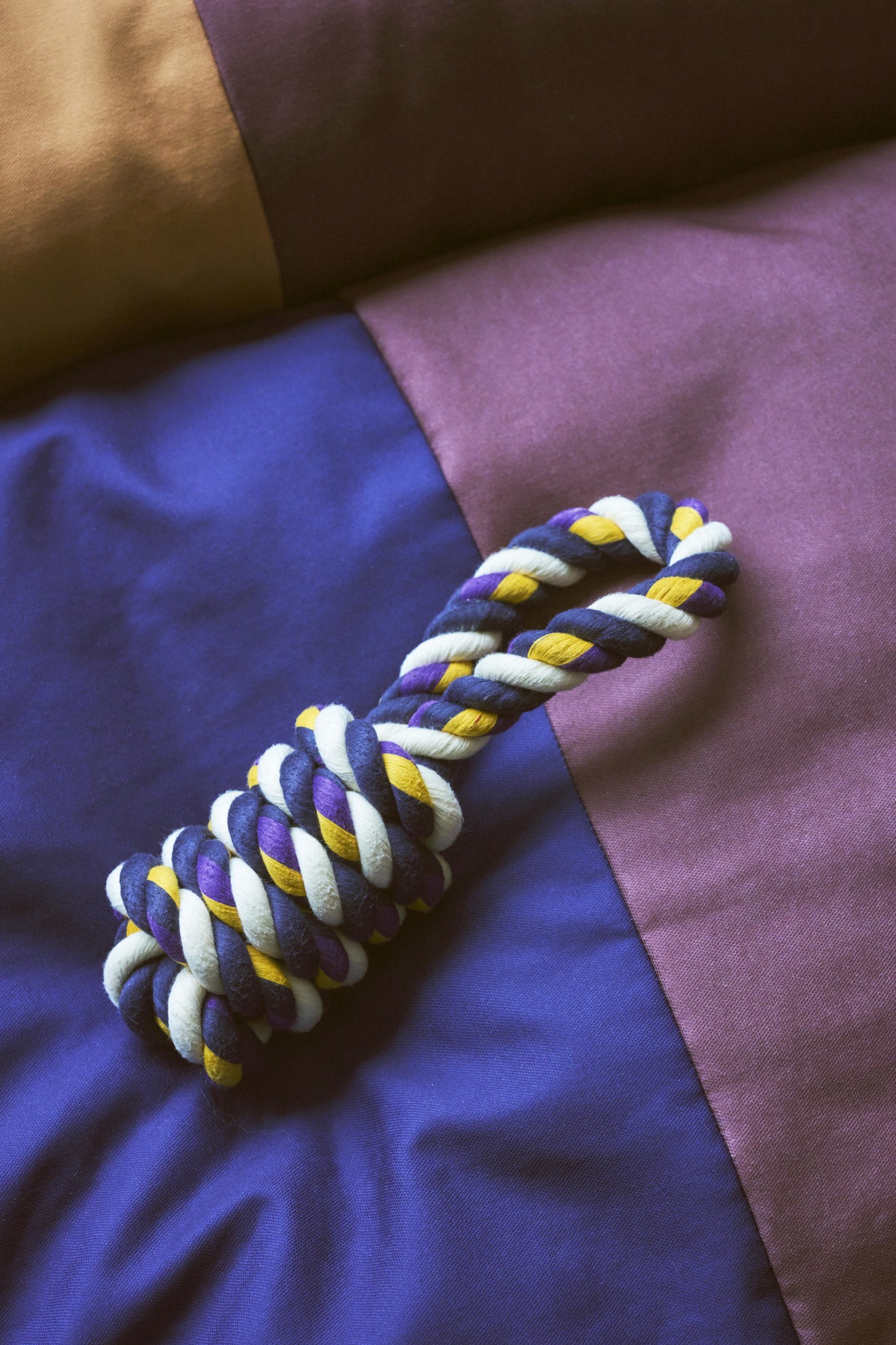 Dog rope toy blue/purple/ochre