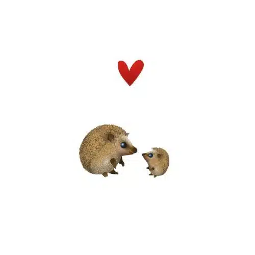 Gevouwen kaart yon mama egel