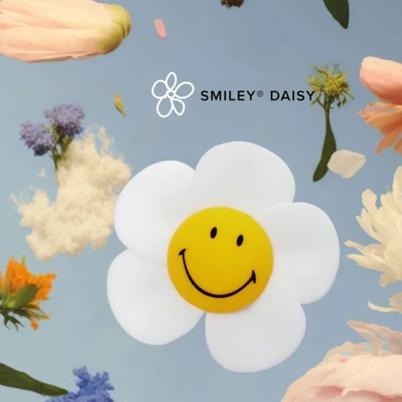 Smiley daisy day light
