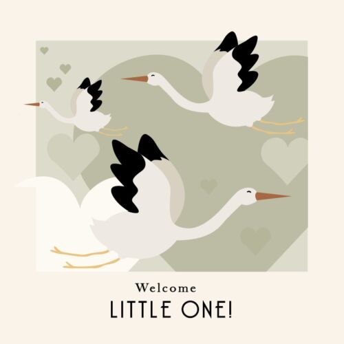 kaart Leukigheidjes Welcome little one! ooievaars