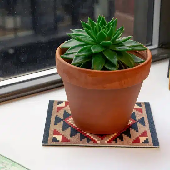 KIKKERLAND onderzetter voor plantjes