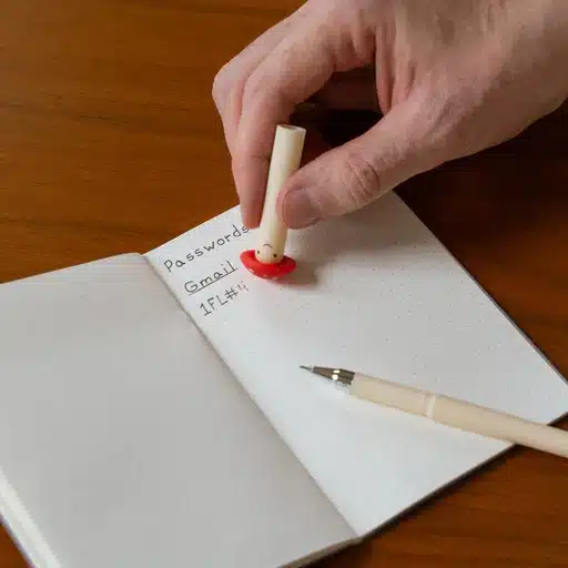 KIKKERLAND uitwisbare paddestoelen pen