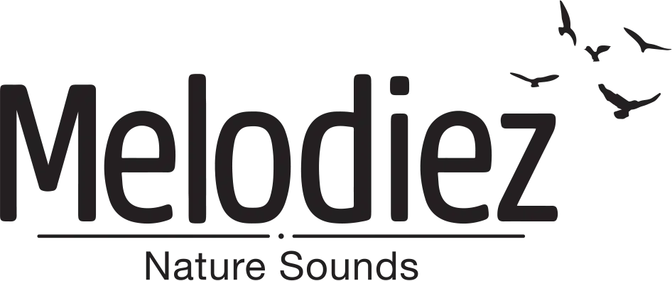 Melodiez