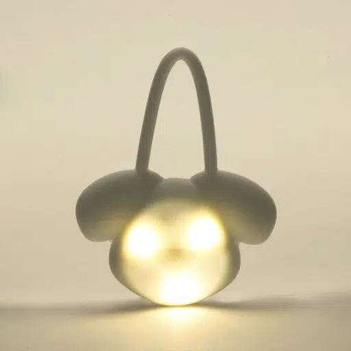 KIKKERLAND lichtgevende naamtag