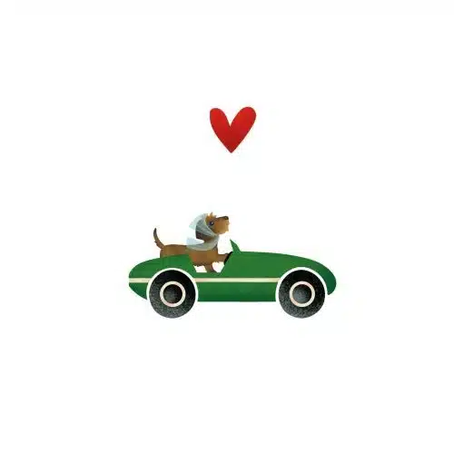 Yon gevouwen kaart teckel in auto