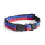 HAY Honden halsband m/l rood-blauw