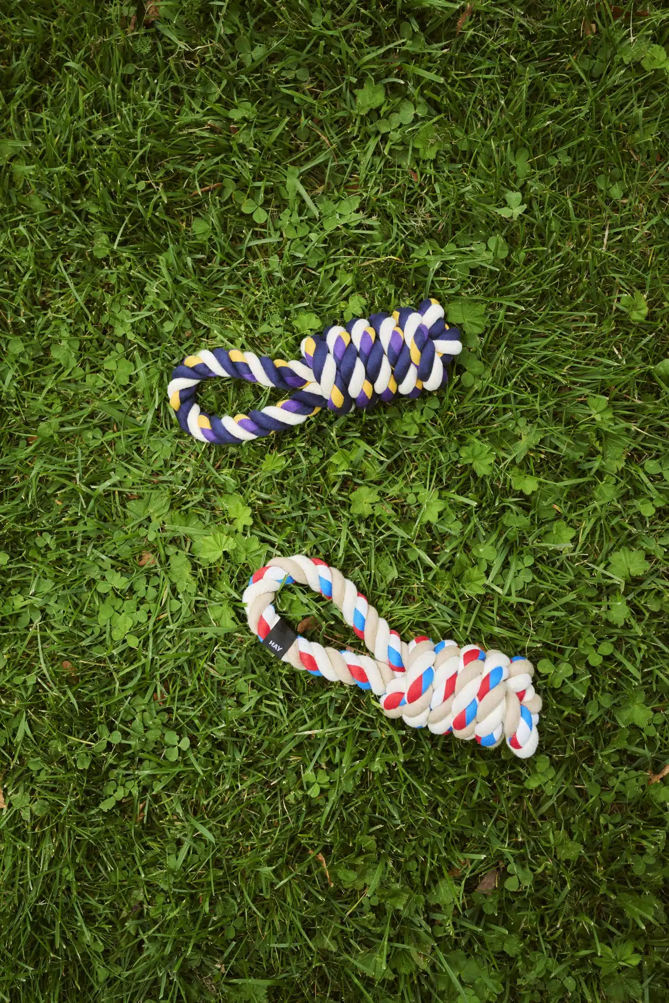 HAY hondenspeeltje rood/turquoise/gebroken wit