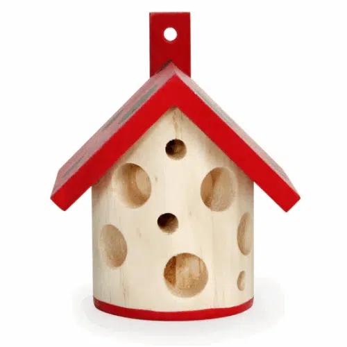 KIKKERLAND Huis lieveheersbeestjes