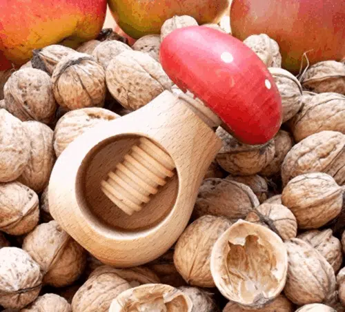 Notenkraker paddenstoel