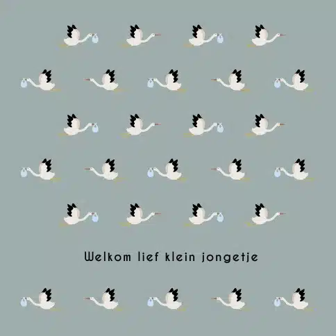 kaart Leukigheidjes Welkom lief klein jongetje