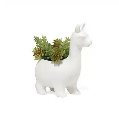 KIKKERLAND Lloyd de Lama bloempot