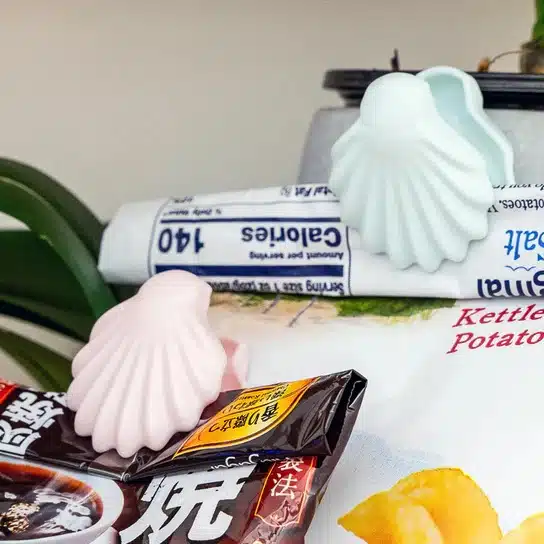 Kikkerland vershoudclips schelp