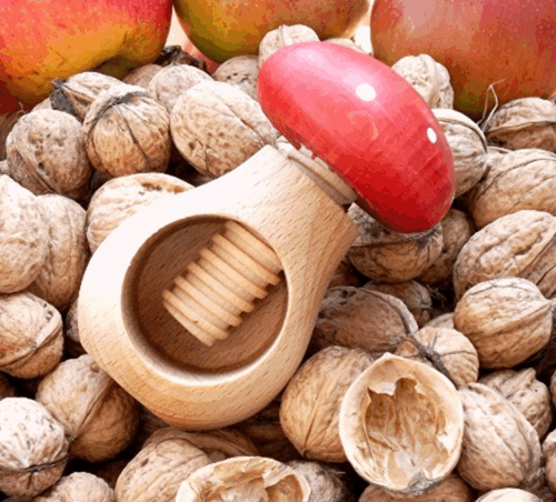 Notenkraker paddenstoel