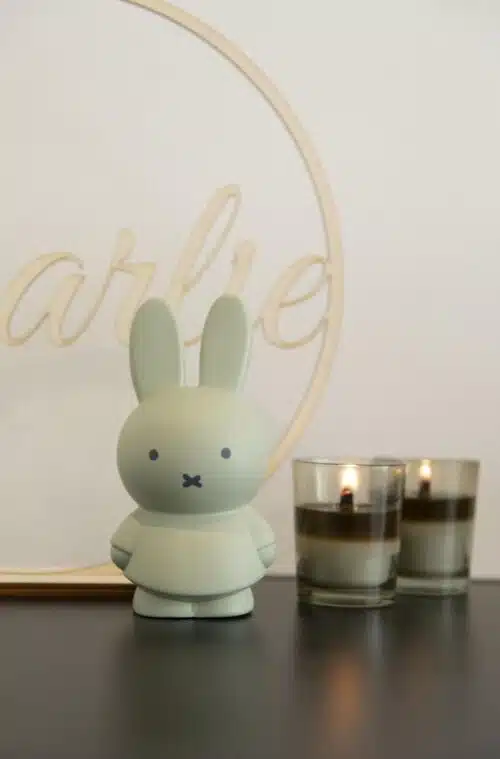 Atelier Pierre Nijntje spaarpot H13.5cm Eucalyptus