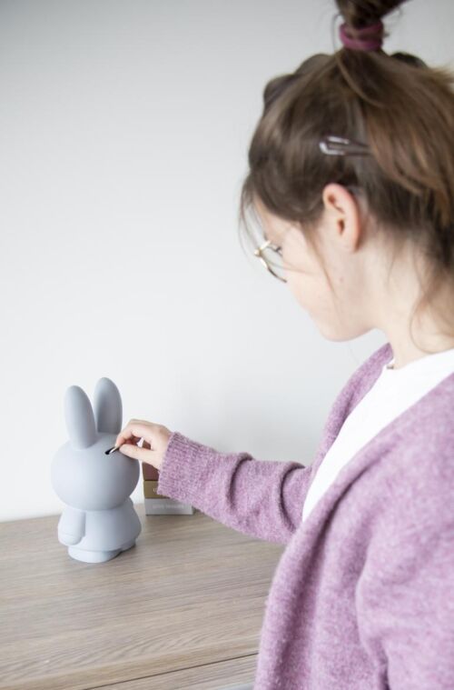 Atelier Pierre Nijntje spaarpot H13.5cm Silver blue