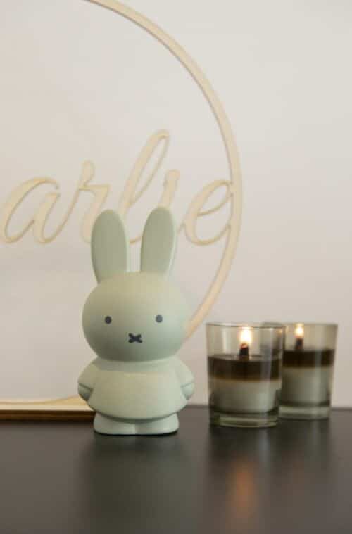 Atelier Pierre Nijntje spaarpot H19cm Eucalyptus