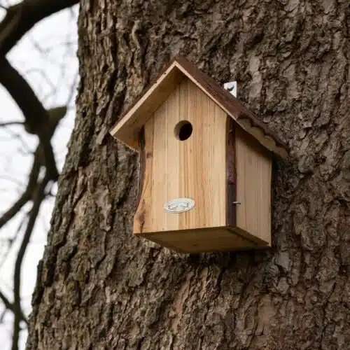 Esschert Design Nestkast pimpelmees boomschorsdak