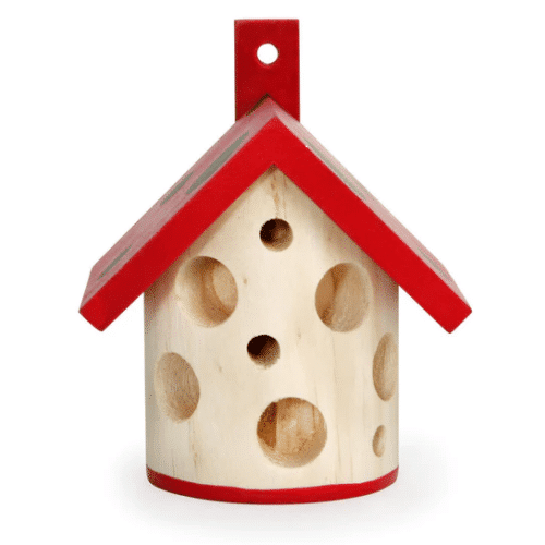 KIKKERLAND Huis lieveheersbeestjes