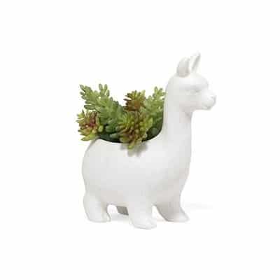 KIKKERLAND Lloyd de Lama bloempot