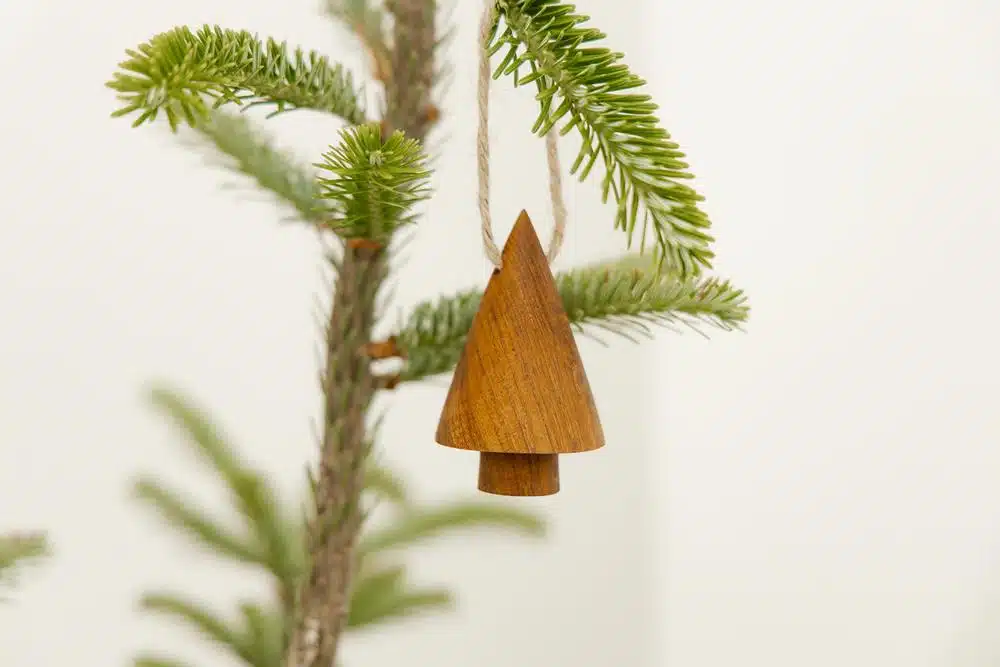 Orginal home mini boomhanger